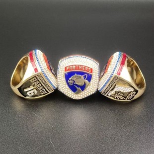 NHL2024���_���_�ڱ��˹̹������܊��ָ�¿� �羳���u�S�ҹ���