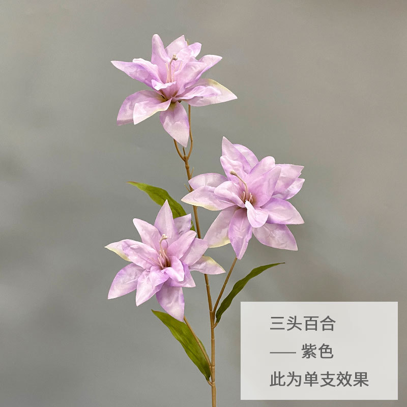 보라색