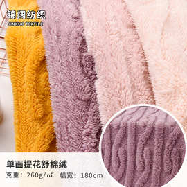 厂家供应全涤舒棉绒单面260g素色秋冬外套服装家纺玩具抱枕面料