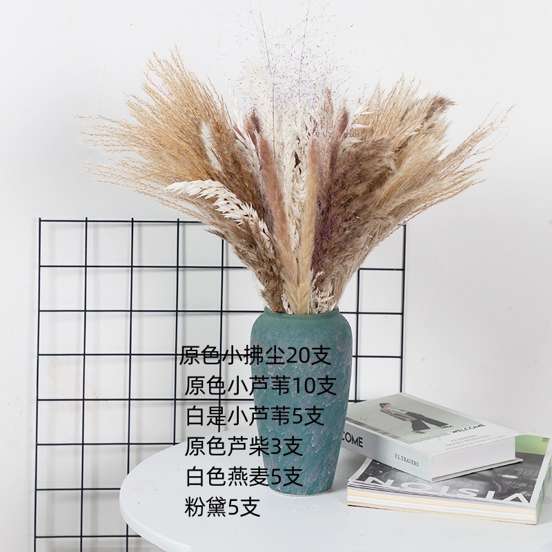 アマゾンはよく売れています。葦の花の花束です。|undefined