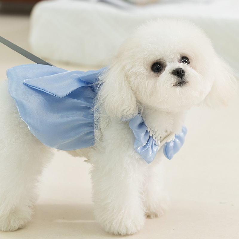 Perro primavera y verano perros pequeños y medianos fluyen grandes arcos princesa vestido de viento gato falda ropa de perro mascota
