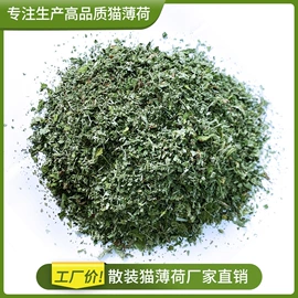 猫猫玩具;猫猫零食;狗狗保健品