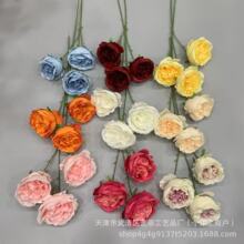 ��֧�W˹͡���滨�Ĳ廨��������Y�Ƶ��p�ݸ߶˸ߙn�b�ˇ����