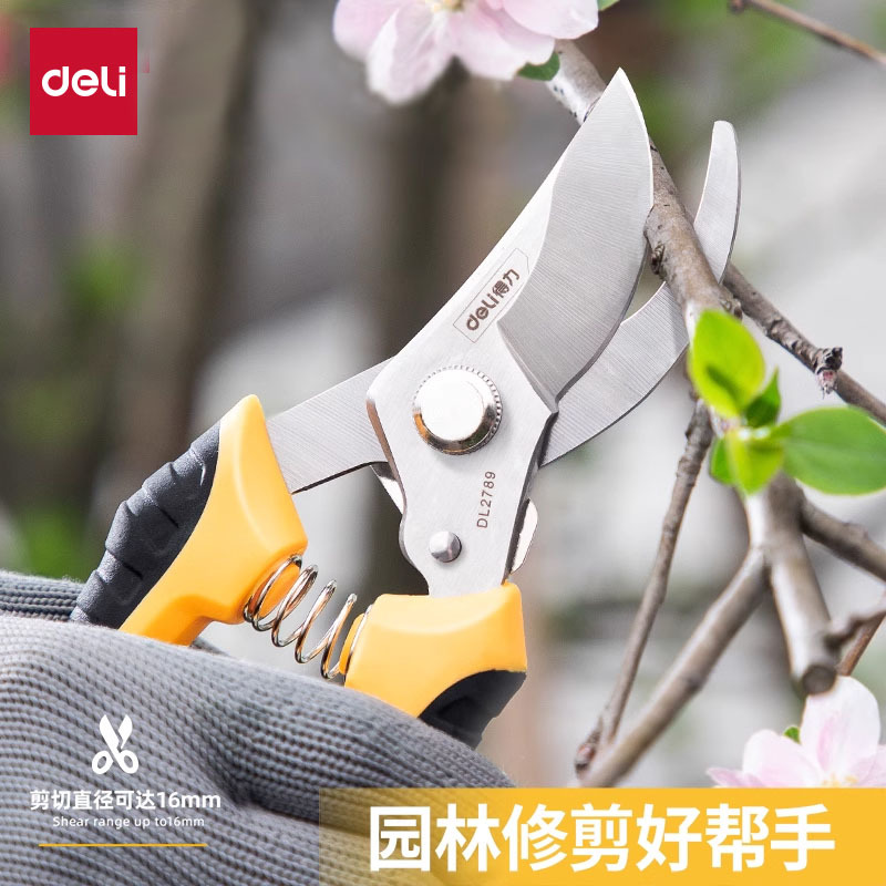 得力工具 合金钢省力型花木剪果树修枝园林园艺花卉家用 D580201