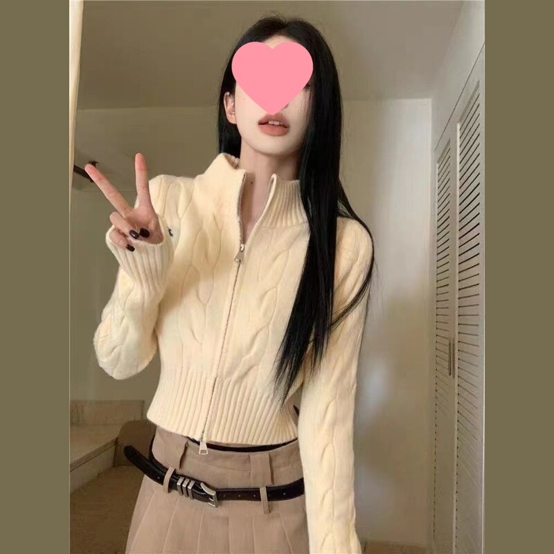 复古立领韩版毛衣开衫外套秋冬拉链修身时尚短款长袖针织上衣外套|undefined
