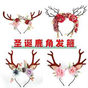 �}�Q¹���r���l��ɭϵ���滨�h�^�Y�Ɍ�cos�bl����¹�l��