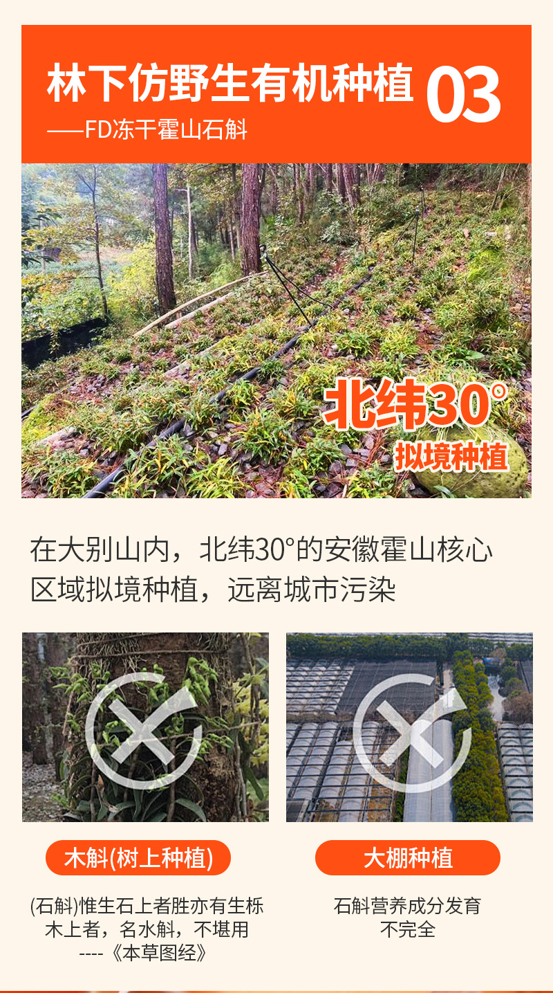 Huoshan Mi Hu Dendrobium (Dendrobium huoshanense) — Freeze-Dried Instant Herbal Vials, 8-Bottle Gift Box specifications