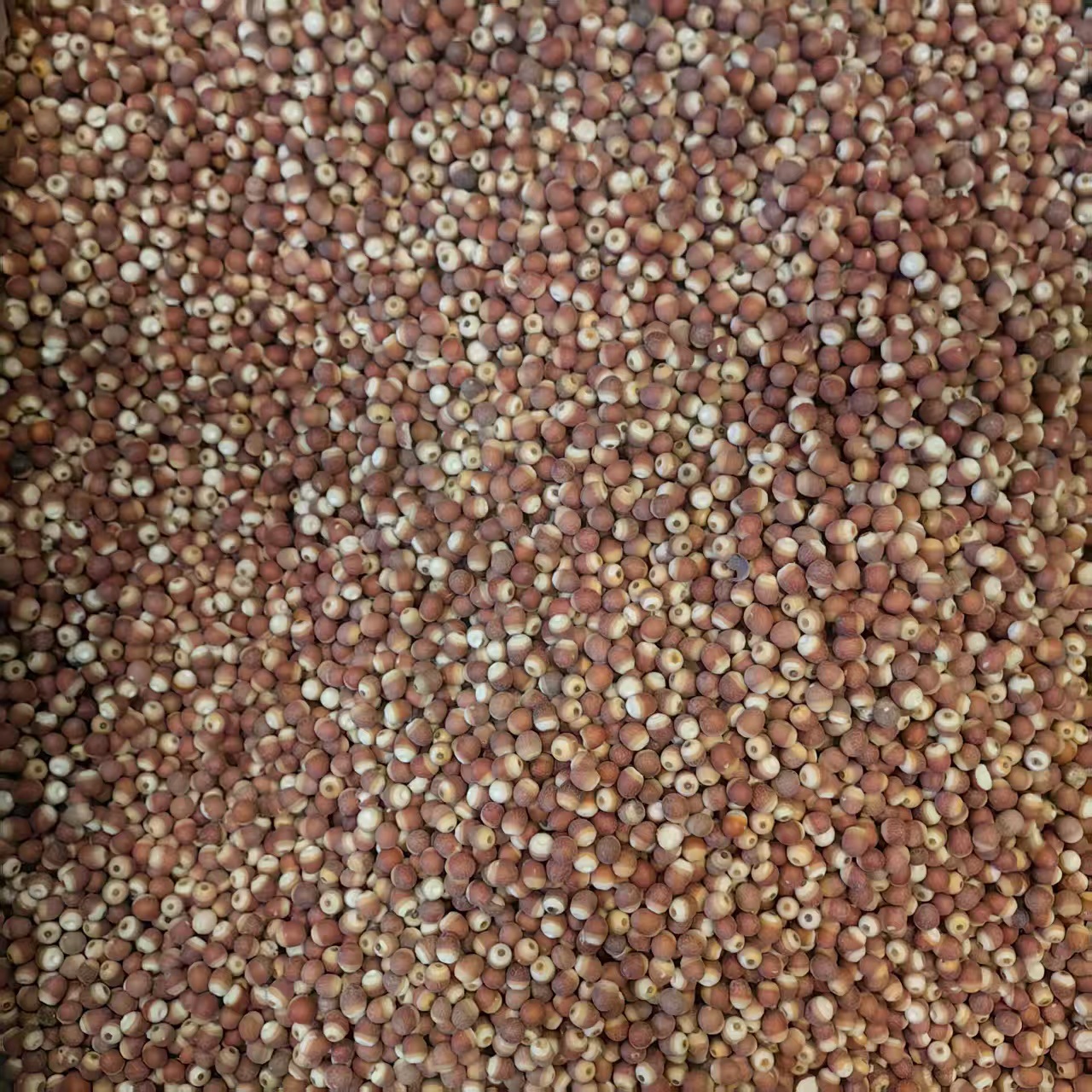 Dried Gorgon Fruit Qian Shi 500g Sulfur-Free Peeled Euryale Seeds for Soup Congee and Herbal Cooking quality and texture