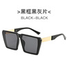 Fashionable trend sunglasses, glasses, 2023 collection