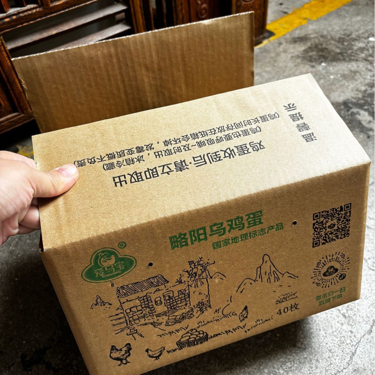 2024-09-26 15:18:22.jpg