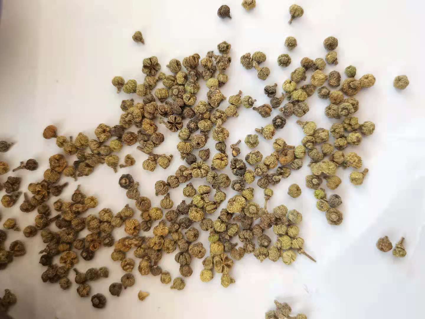 微信图片_20210420220528