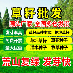 �o�¹�������ƺ�����ļ�����G�������ݸ���é�ݷN�ӏ;G��ľ�N��