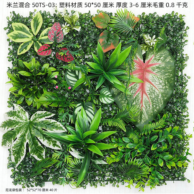 50*50-TS-03