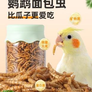 �W�^����x���S���xĵ����Ƥ���P�B�Z�˸��J���u�����ʳ�Bʳ
