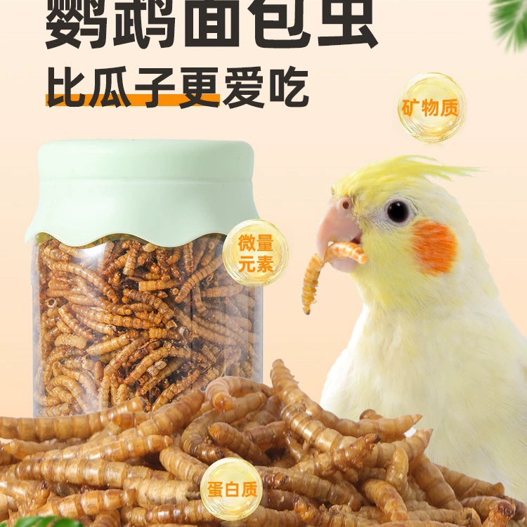 Корм для птиц: сушеная мучная червь, пион, тигровая кожа, черный феникс, корм для голубей, рутина, корм для кур, закуска для птиц.