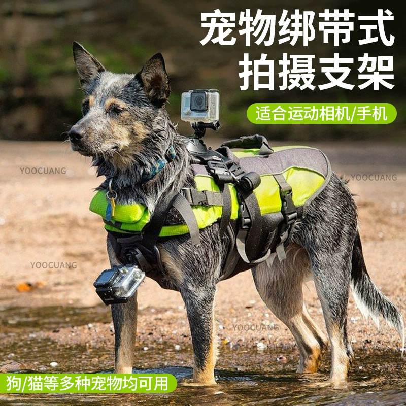 Собаки Домашняя кошка нагрудный ремень для камеры спортивные ремешок GoPro13 12 большой территории Action5 43 Аксессуары для камер
