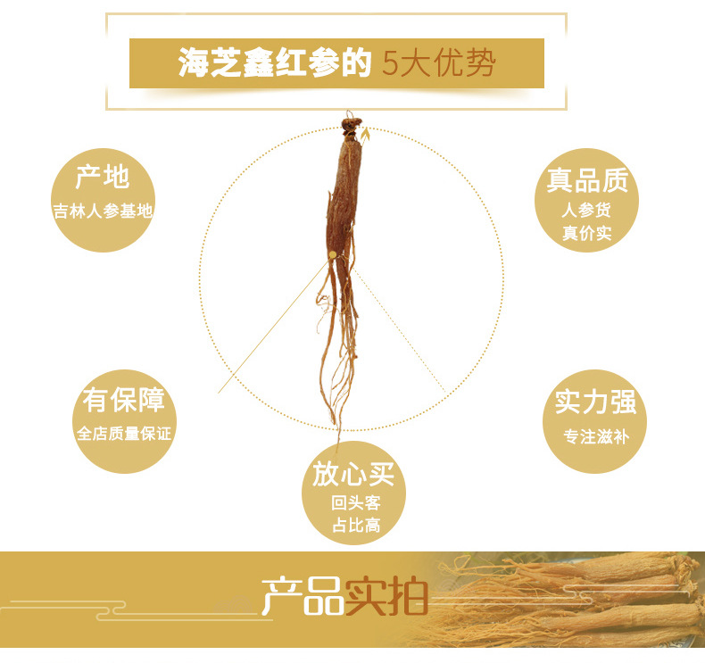 海芝鑫红参_03.jpg