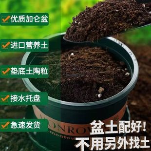 ���莧�I�B���Ӂ�������������������N�߲˾Gֲ�����¼�����ͨ��