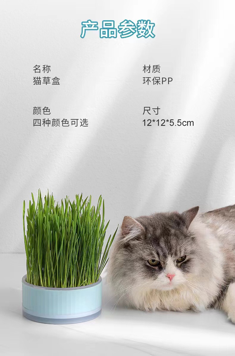 猫草_12.jpg