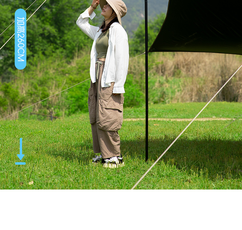 Beishan Wolf Titanium Black Octagonal Canopy Tent Outdoor Camping Picnic Camping Equipment Hevelation Full Set of Rainproof and Sunscreen