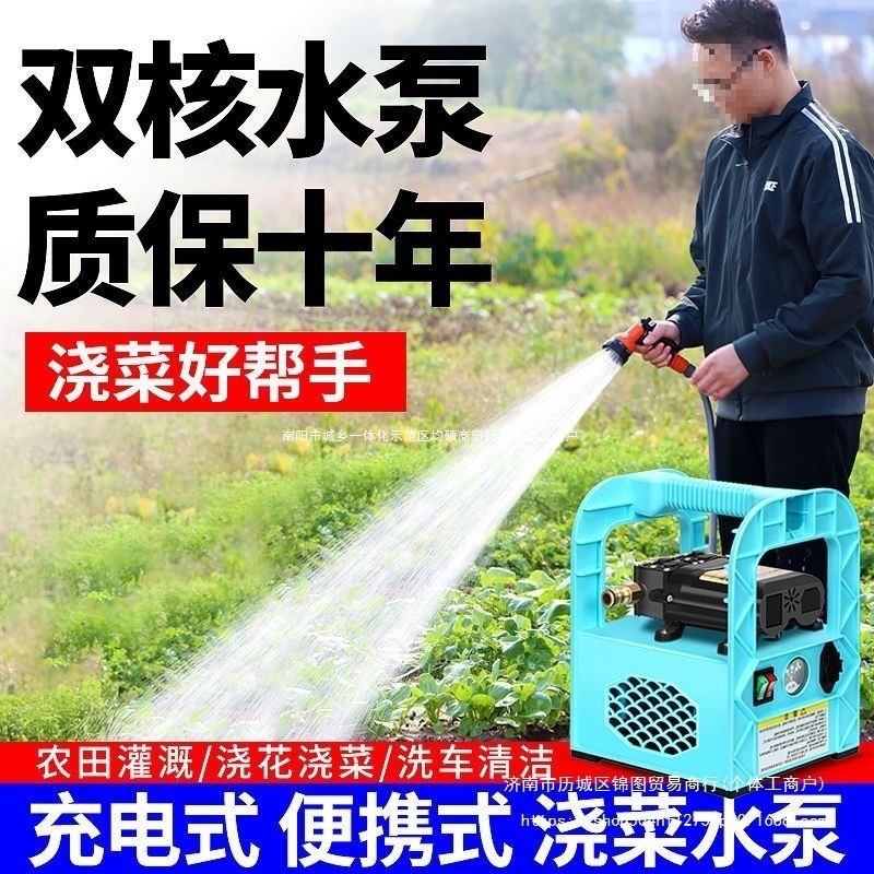 家用充电式抽水泵小型锂电动自吸12V户外农田农用浇菜灌溉水泵