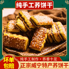 �F���خa�w��������w���A��ɴ���ɴּZ�I�B���c�������