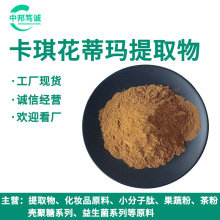 卡琪花蒂玛提取物 水提卡琪花蒂玛粉 卡琪花蒂玛浸膏粉