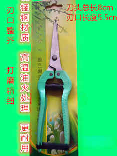 20�����l���Ѽ����Ӽ���ϡ�������Ѽ����������߹���ֱ�^��