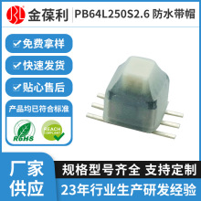 定制5.8按键开关 PB64L250S防水带帽开关6脚贴片自锁无锁按钮开关