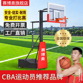 厂家供应家用户外标准篮球架 室外移动篮球架 可升降篮球架