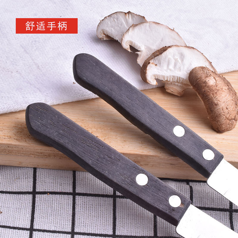 10982346744_122955407