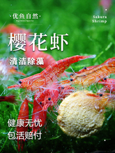 �ѻ��r�����^�p�r�坍���r��ˮ���w������r�r���^�p�O���r�ښ��r