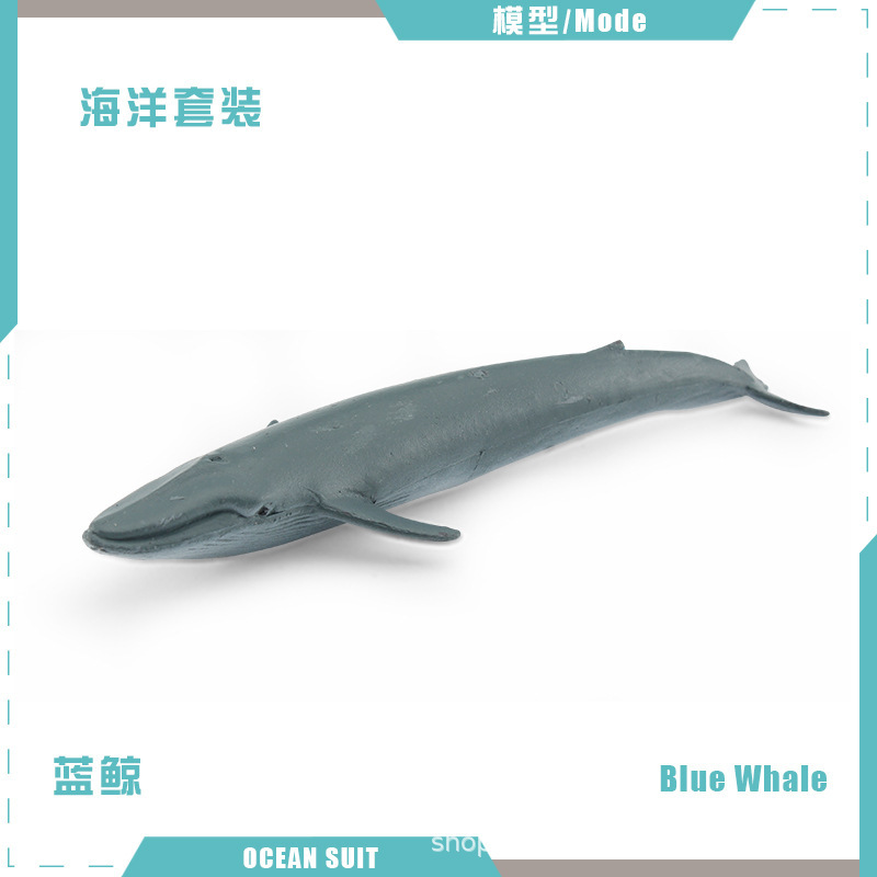Ballena azul BL-5294 11g