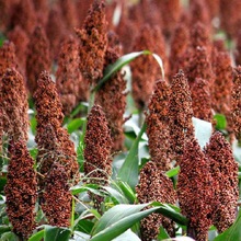 ������B�t�����N�ӿ����s���������������߮aᄾƸ����������