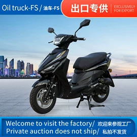 其他电动车;其他摩托车;电动自行车