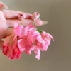 112#Silver needle-pink