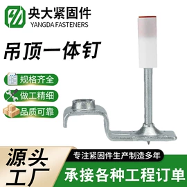 钉枪用钉;其他紧固连接;螺钉