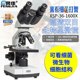 目镜、物镜;显微镜;光学机具