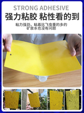 ?SpճxERNS{wxСw@մωTճ