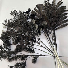 ��ɫϵ���ϻ����滨 �����m�ȼ��������c�ٻ��f�}���b���b�