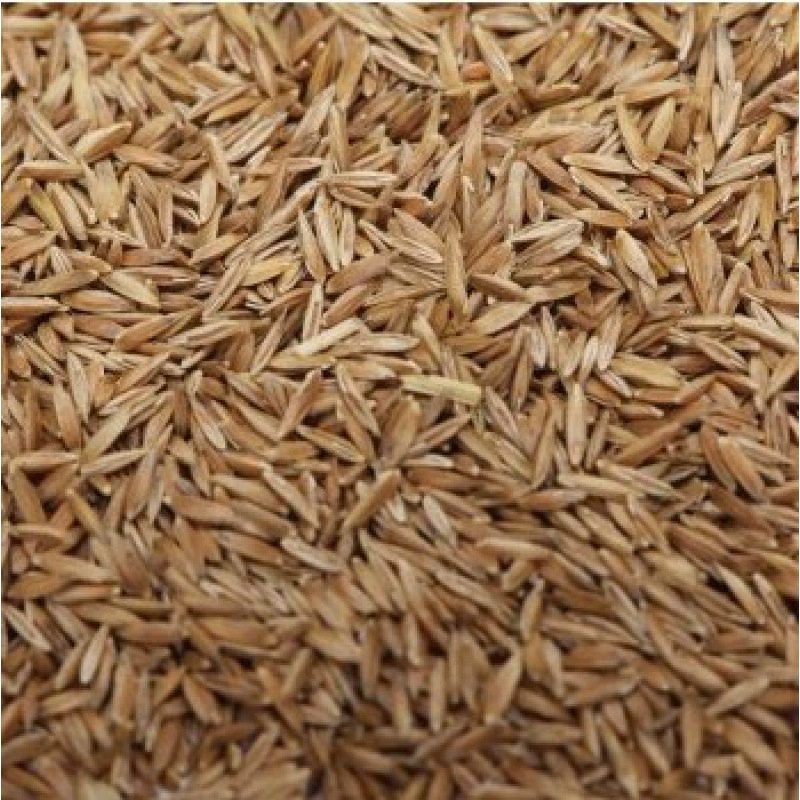 Семена без обрезки Семена газона Морозостойкое вечнозеленое озеленение Защита склонов двора Трава для ковра Карликовая трава