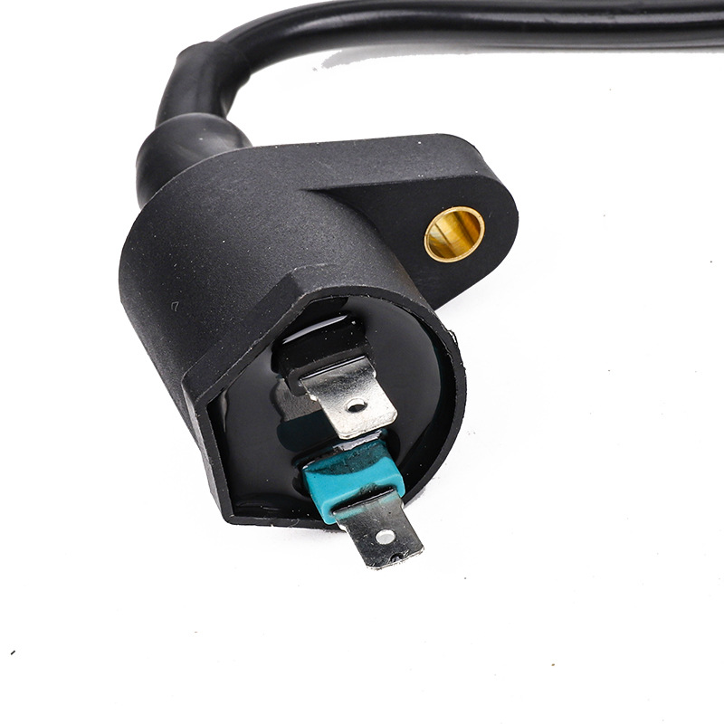Atv Beach Kart Off-Road Motorcycle High Voltage Package Jh70 Gy6125 Cg125 Gs Haomai Ignition Coil