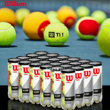 Wilso����ѷѵ����������Titanium 3ֻװרҵ�ʹ����򵥹ް���ʢ