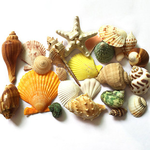 ��Ȼؐ�����ݺ����ײ�450�� ����~���쾰��̨��c�Ҿ��b�