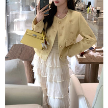 2025新款【月华轻绡】蝴蝶秀珠短外套女秋季高级感上衣半身裙套装