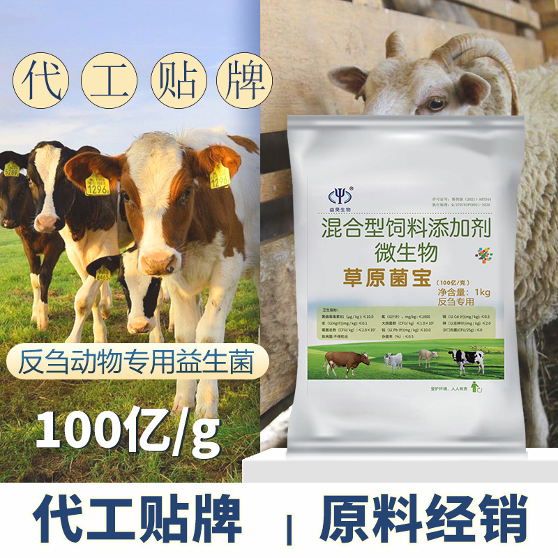 牛羊益生菌饲料添加剂微生物菌种预混料兽用菌剂微量元素饲料级