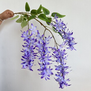 ���滨�������ٻ� ��c��Y�õ�픻�ˇ�b����쾰���� ���Q��