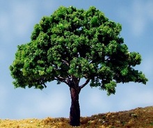 ���Bɳ�Pģ���F�z��ģ�͘�DIY�����е���������Ř�