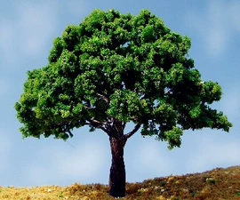 建筑模型;其他耗材;动植物仿真