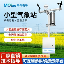 自动气象站;其他仪器仪表;风速风向仪